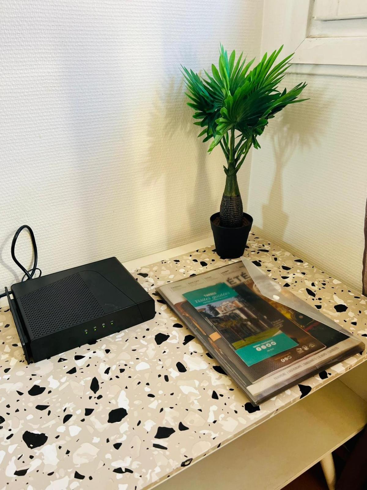 Le Voltaire -2 Chambres- 70M2- Hypercentre-Parking-Wifi Fibre- Nouvelle Literie Tarbes Bagian luar foto